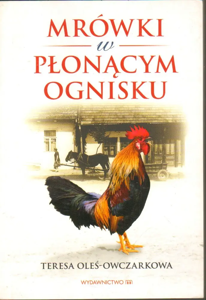 Książka - Mrówki w płonącym ognisku