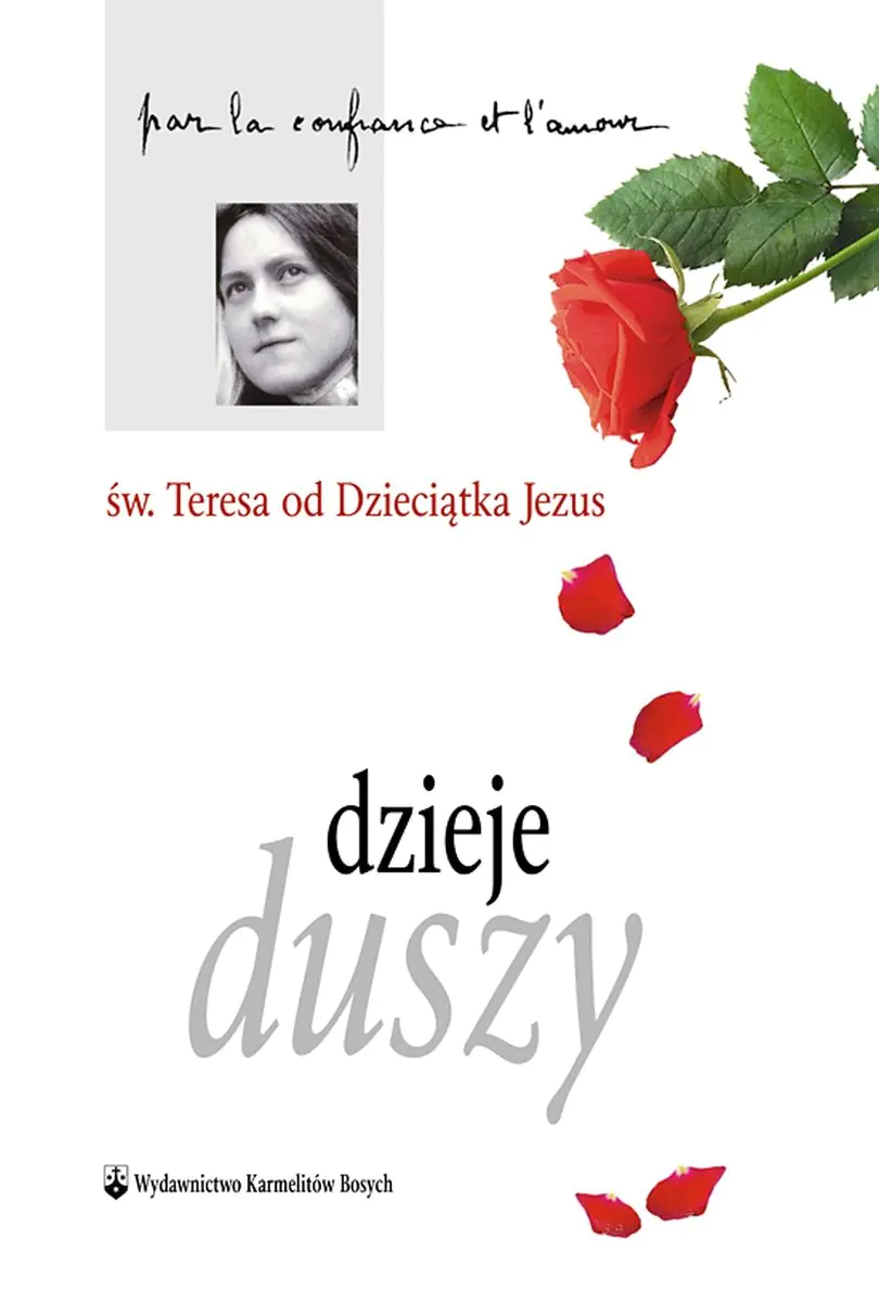Książka - Dzieje duszy