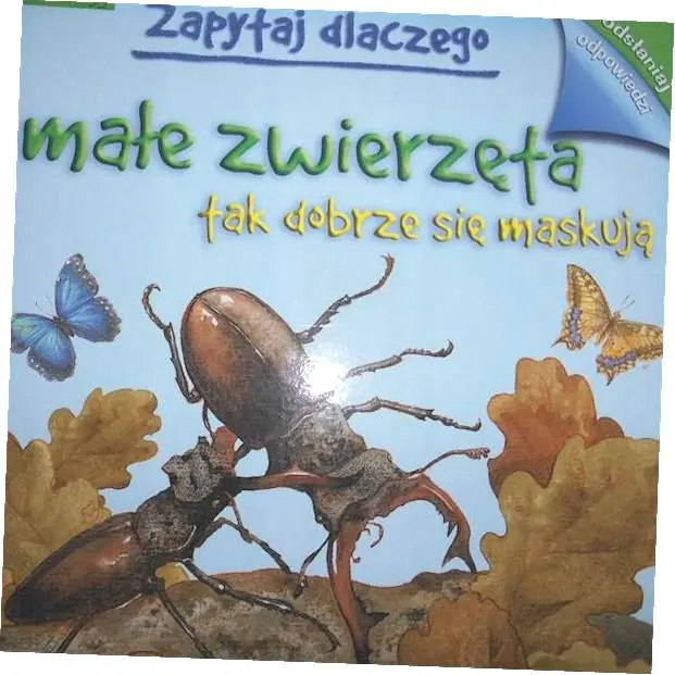 Książka - Małe zwierzęta tak dobrze się maskują