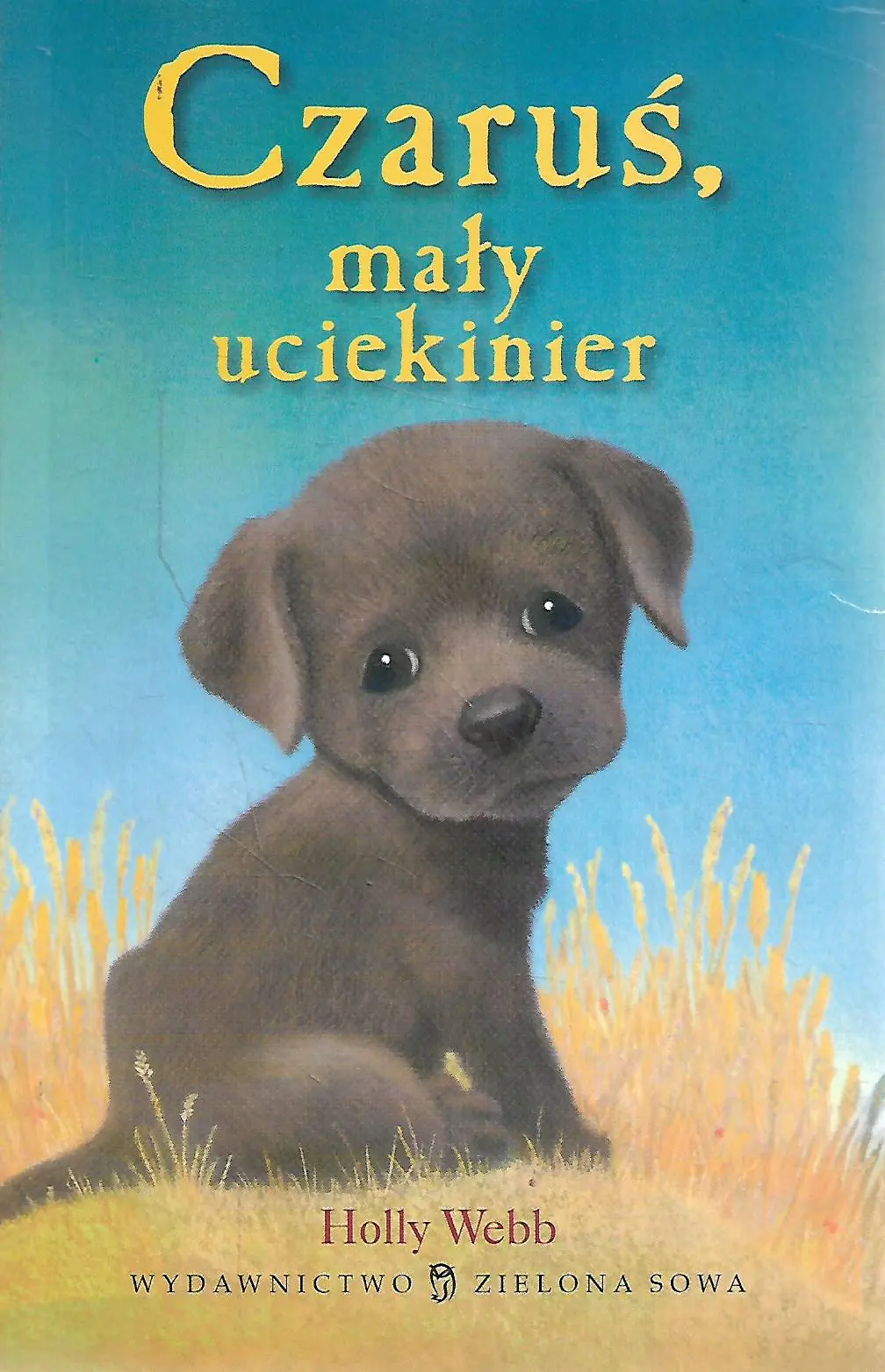 Książka - Czaruś, mały uciekinier