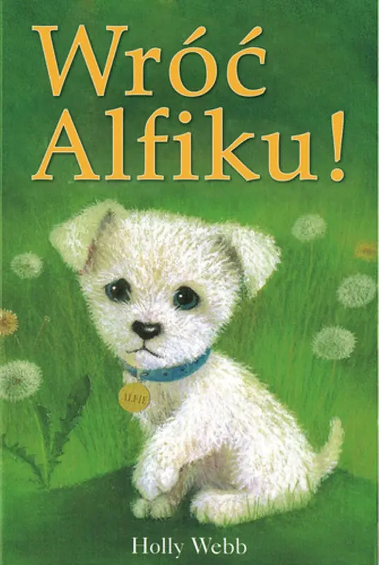 Książka - Wróć Alfiku!