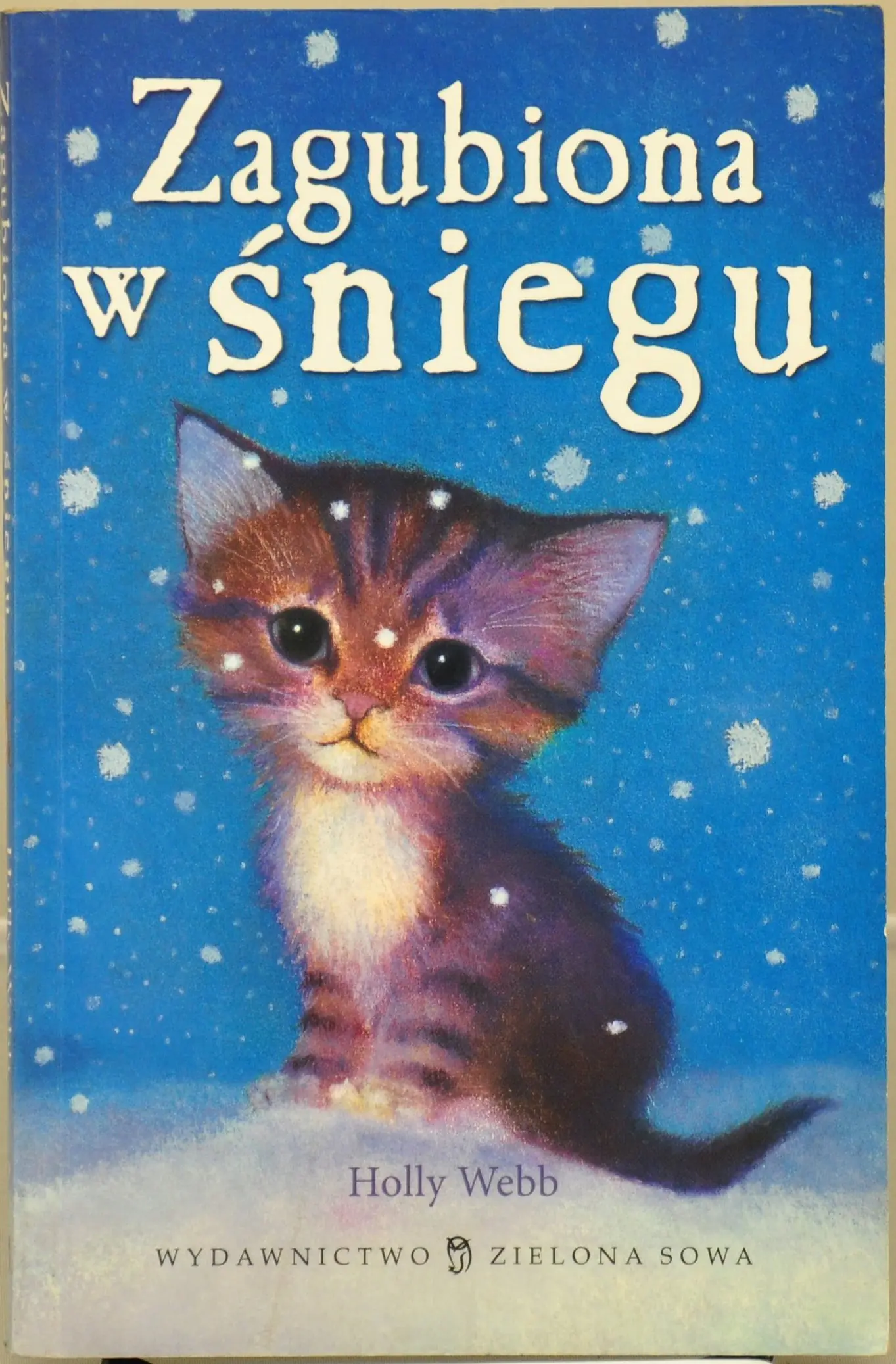 Książka - Zagubiona w śniegu