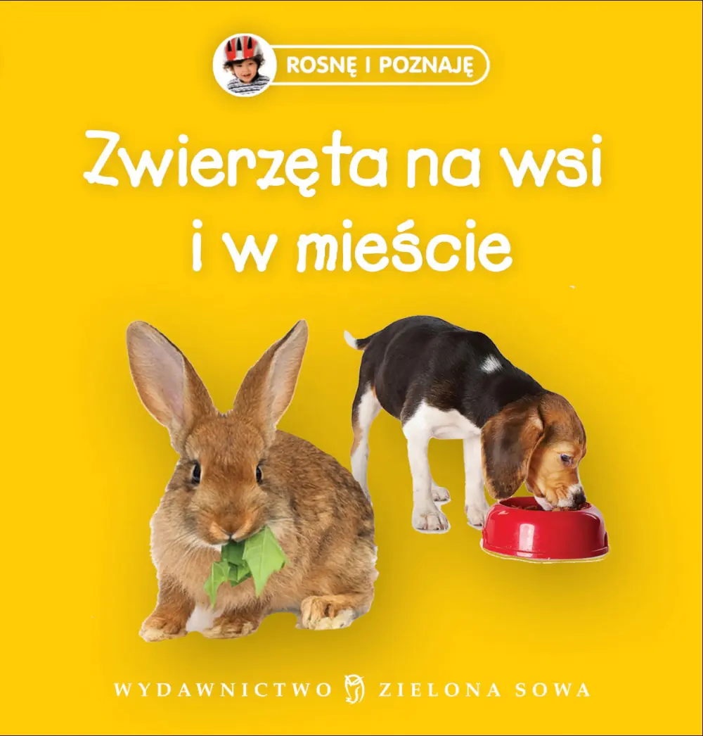 Książka - Rosnę i poznaję Zwierzęta na wsi