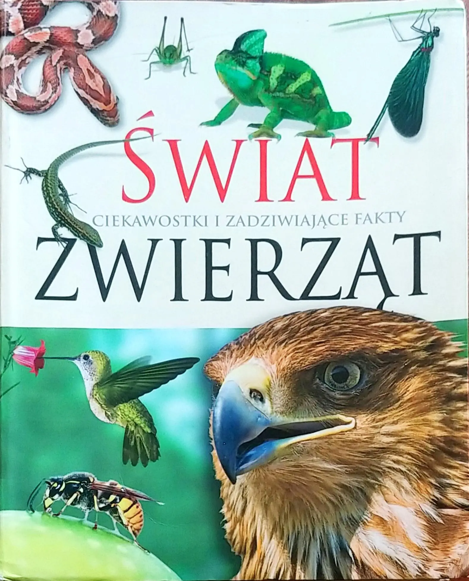 Książka - Świat zwierząt