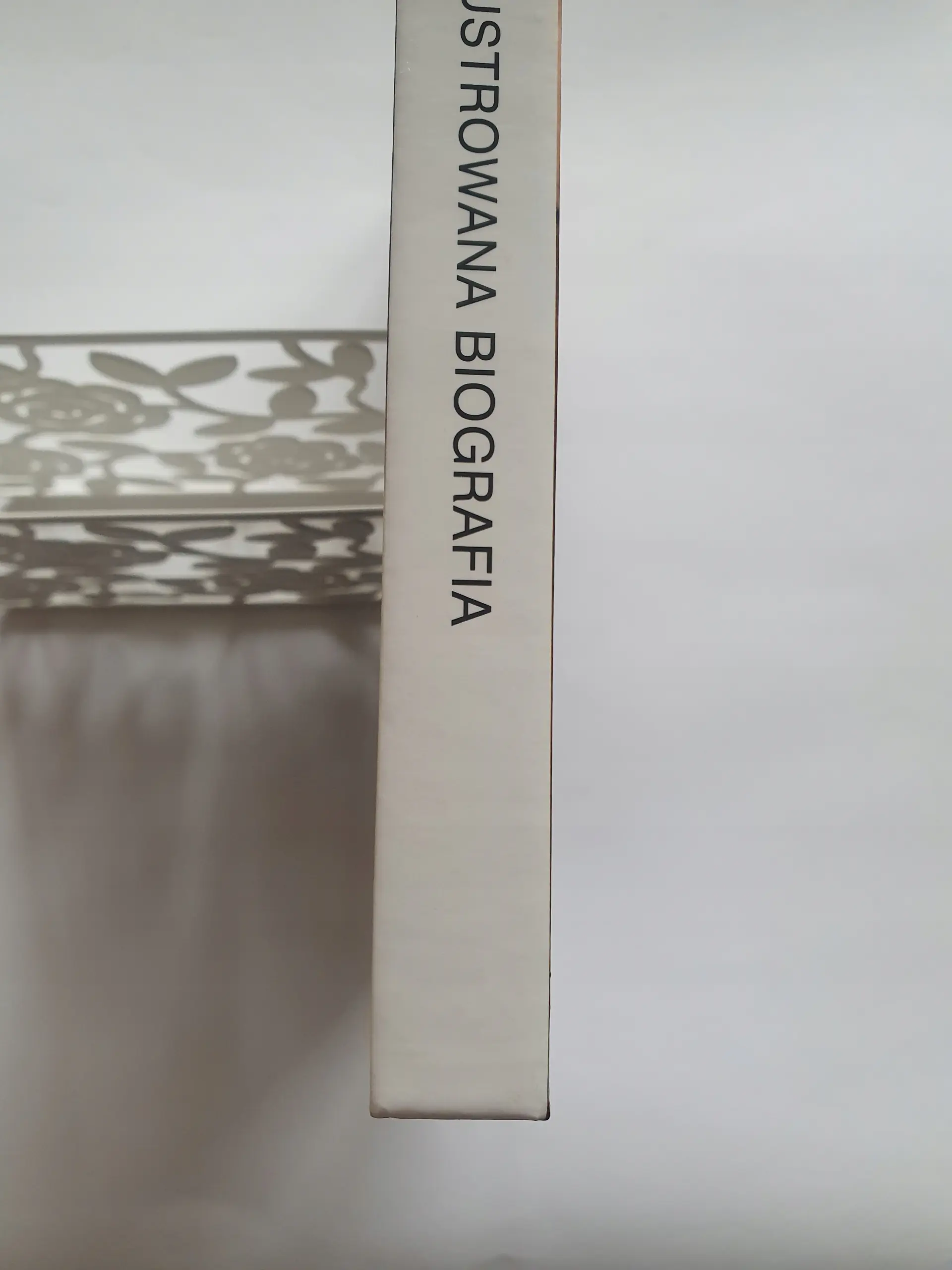 Książka - The Beatles Ilustrowana biografia 