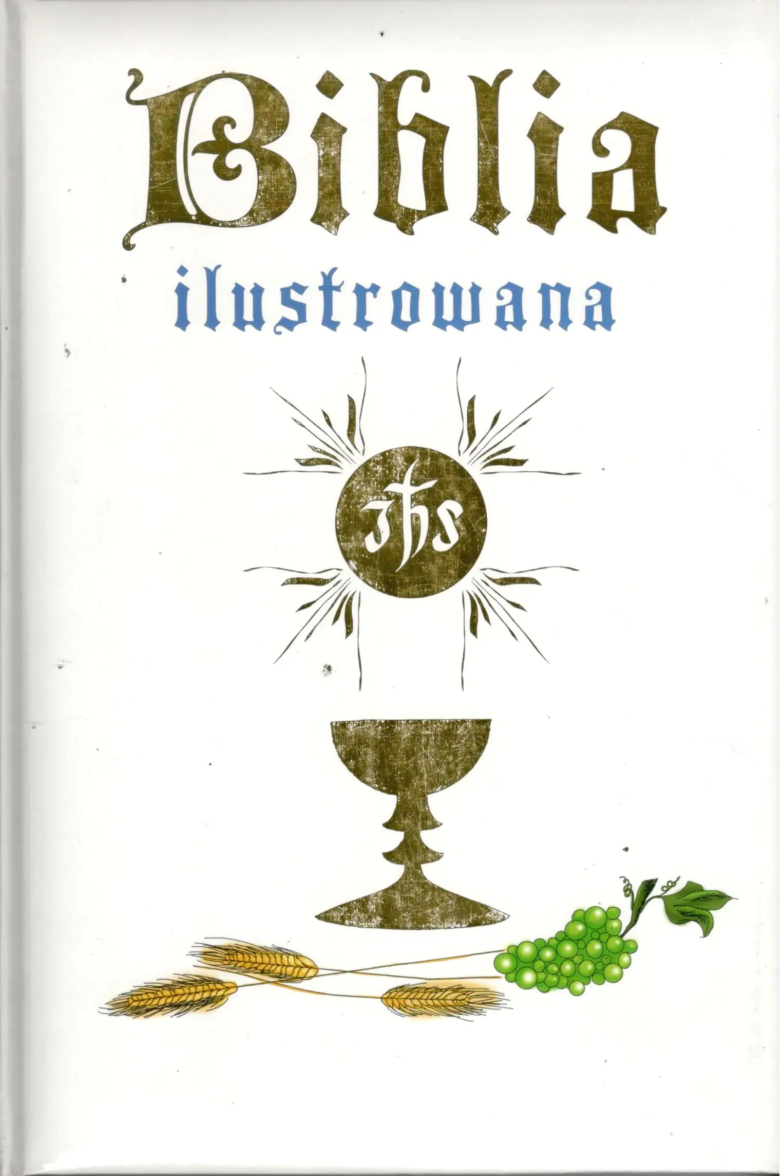 Książka - Biblia ilustrowana