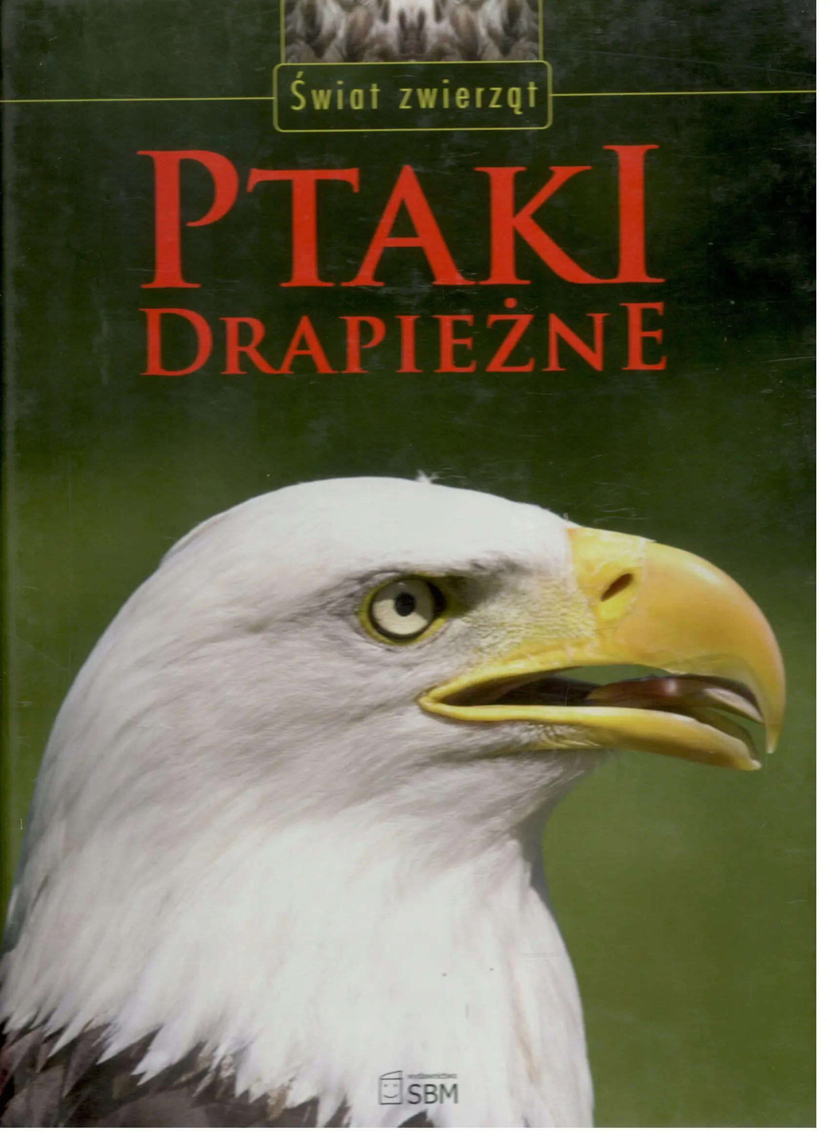 Książka - Ptaki drapieżne. Świat zwierząt