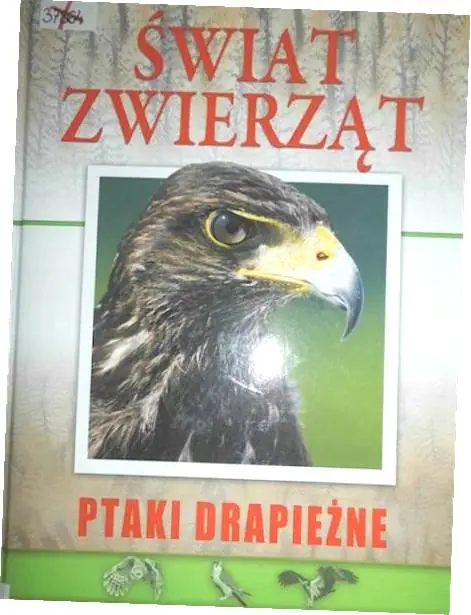Książka - Ptaki drapieżne. Świat zwierząt