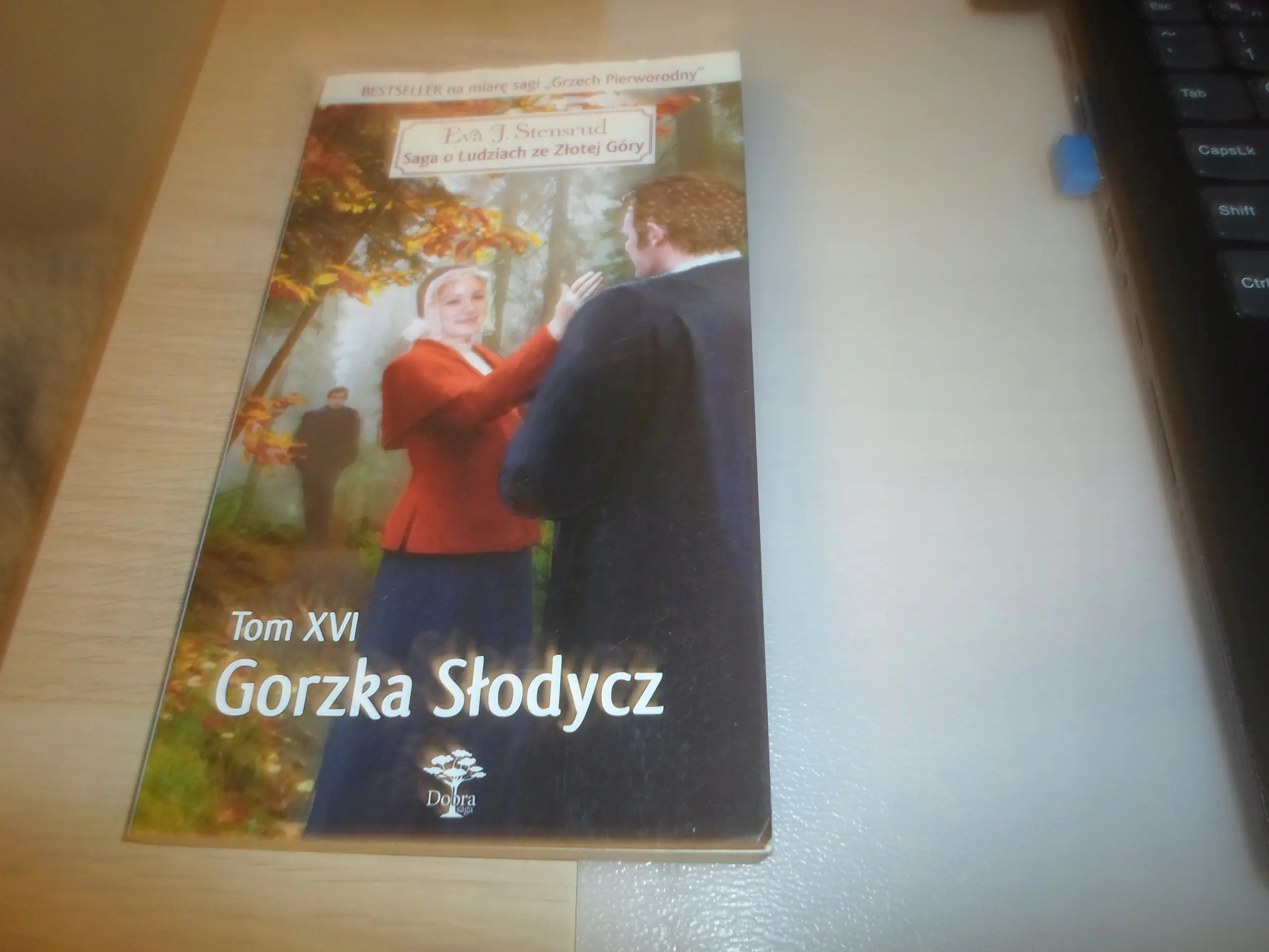 Książka - Saga o Ludziach ze Złotej Góry. Tom XVI. Gorzka słodycz