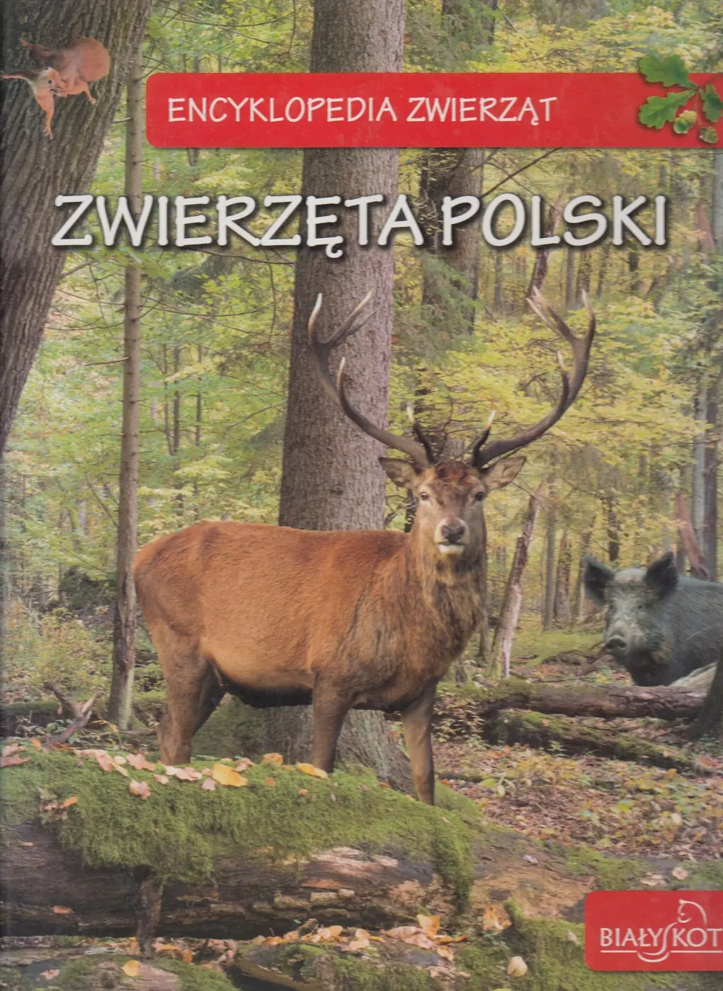 Książka - Encyklopedia Zwierząt Zwierzęta Polski