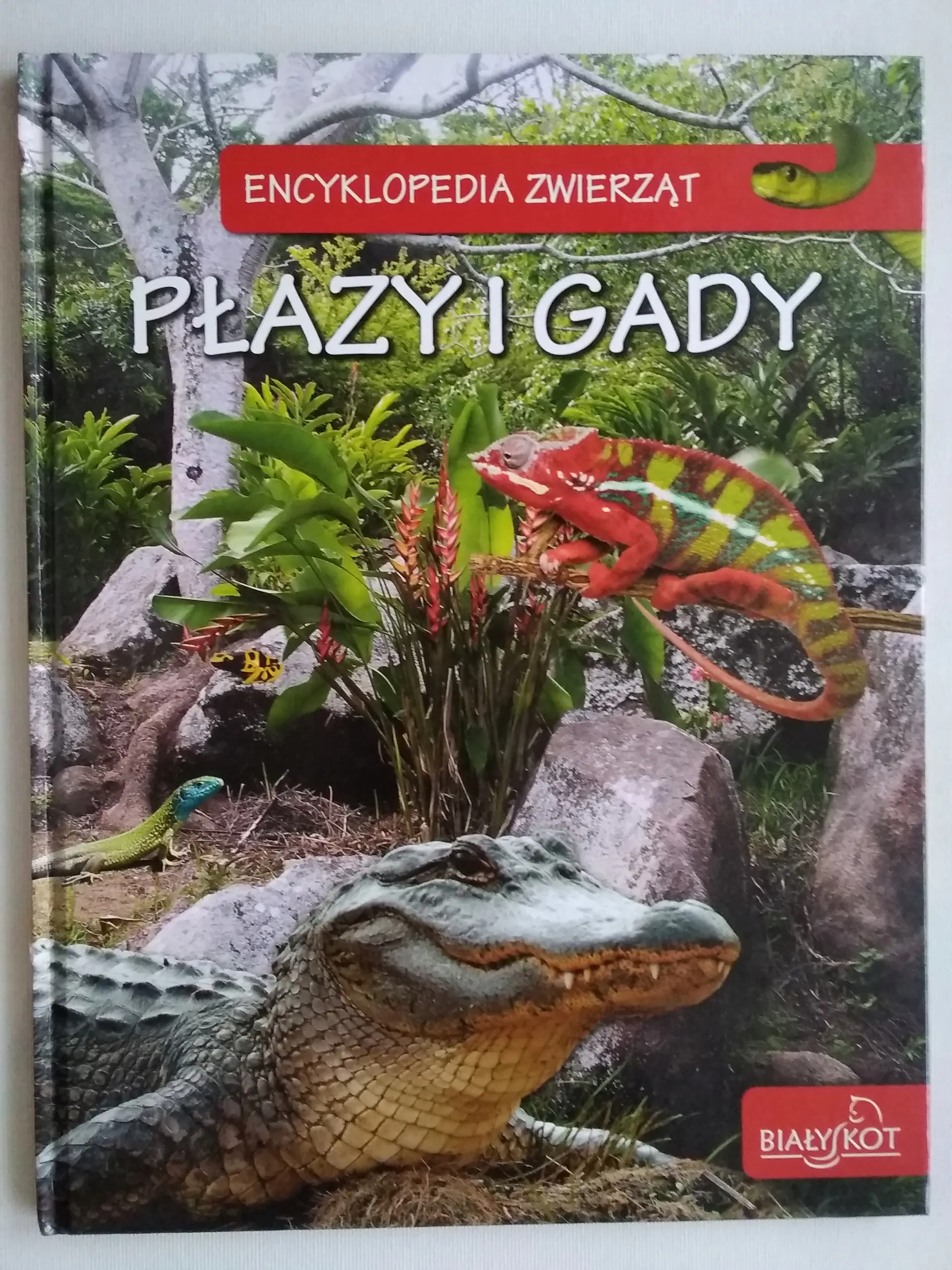 Książka - Encyklopedia zwierząt Płazy i gady