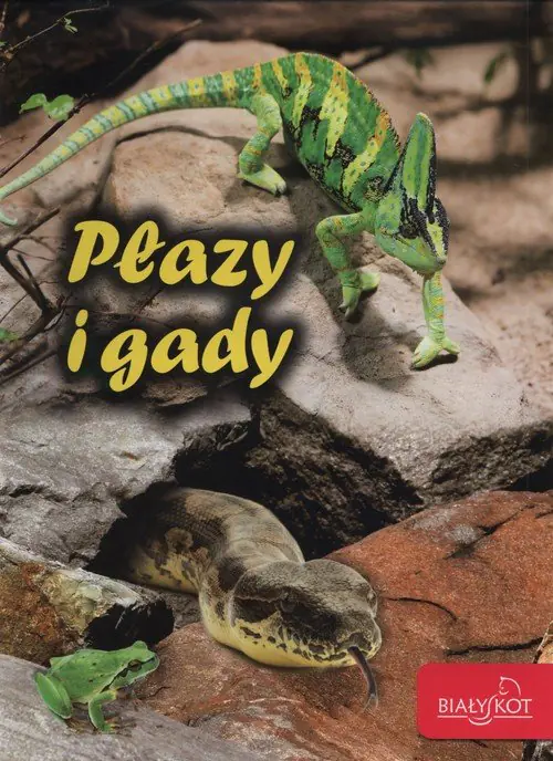 Książka - Płazy i gady