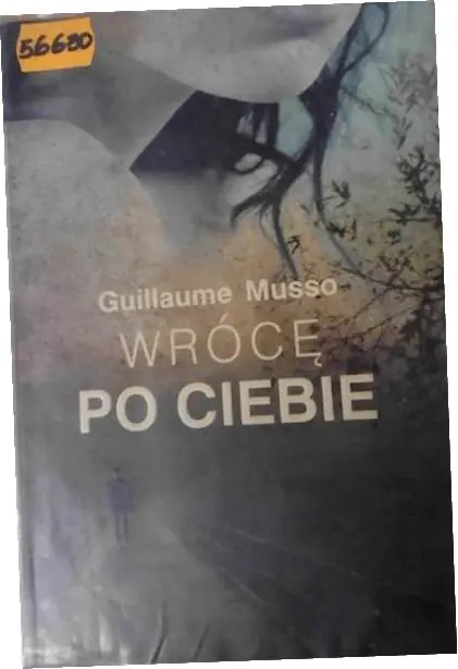 Książka - Wrócę po ciebie  nowe
