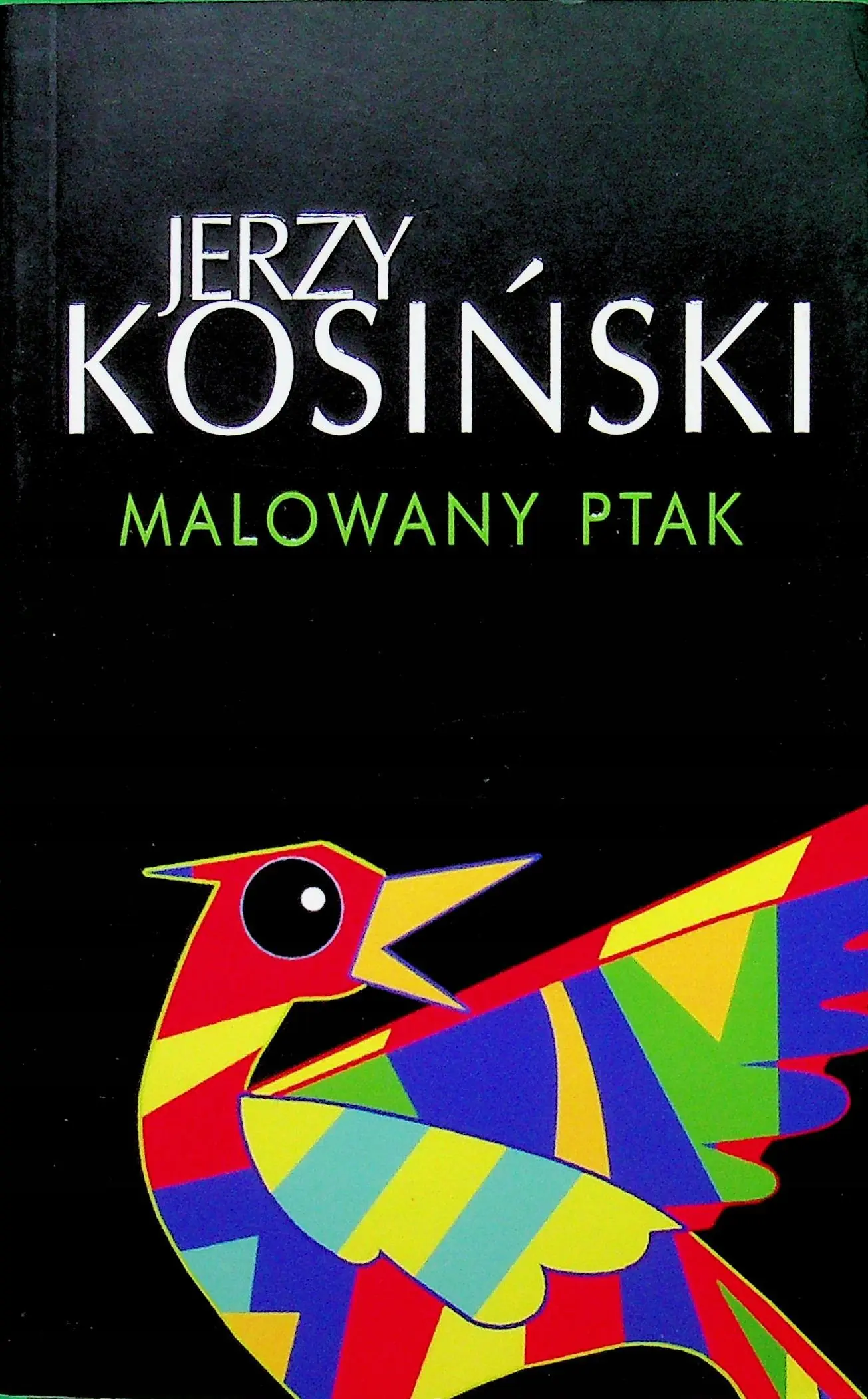 Książka - Malowany ptak
