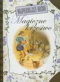 Książka - Najpiękniejsze baśnie Magiczne krzesiwo