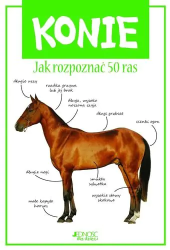 Książka - Konie Jak rozpoznać 50 ras