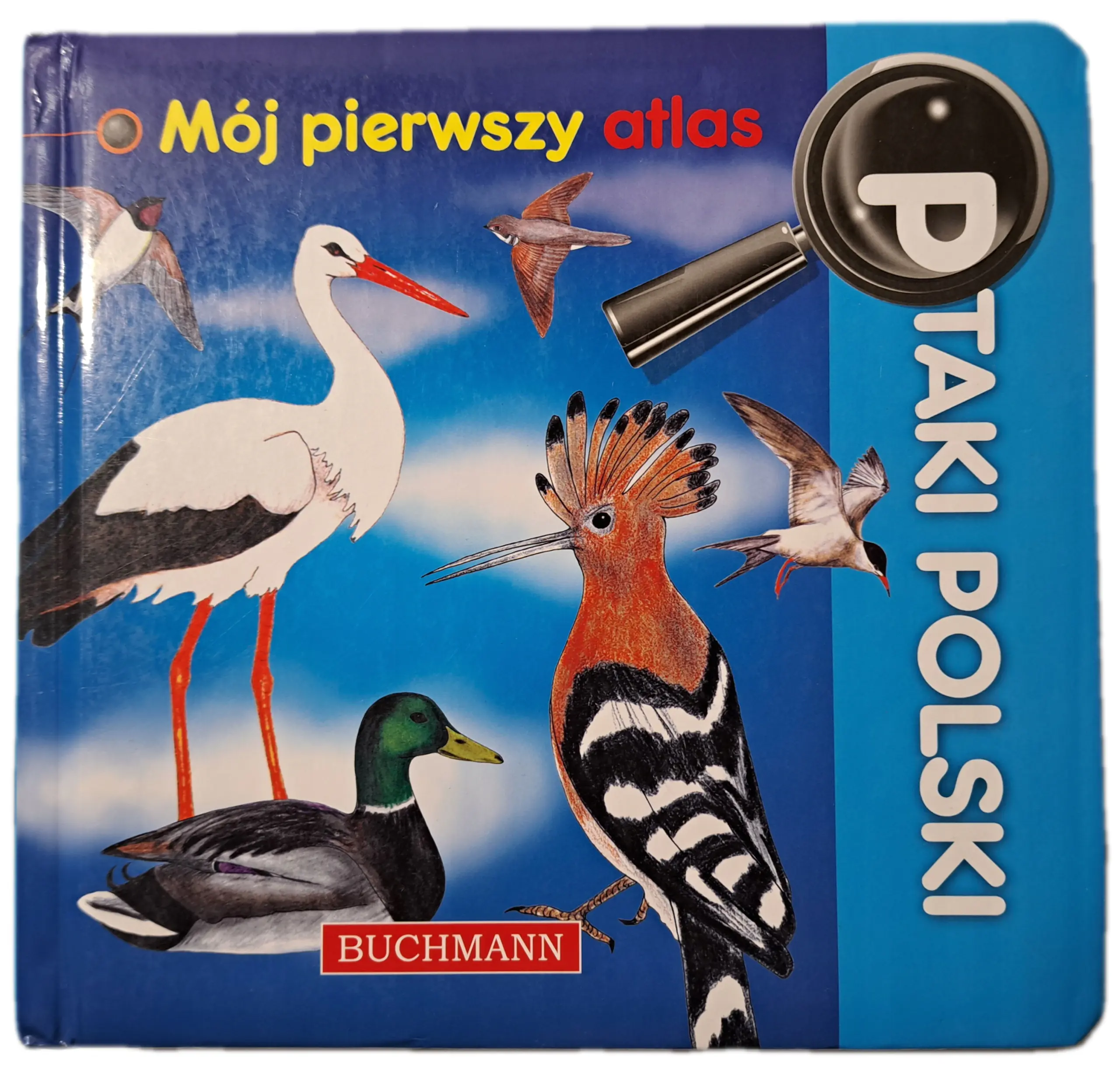 Książka - Ptaki Polski Mój pierwszy atlas