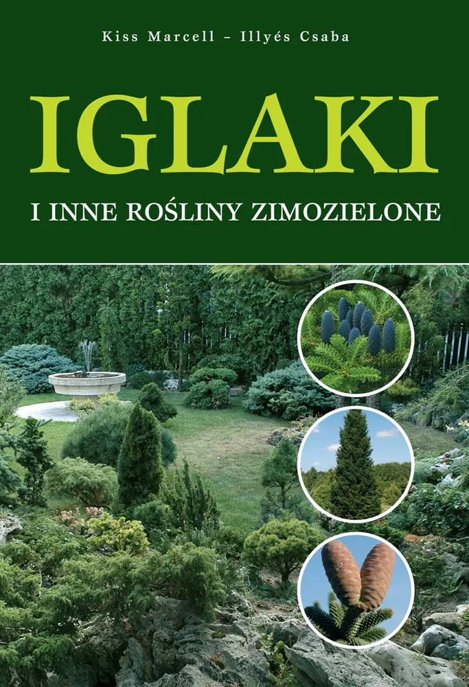 Książka - Iglaki. Najpopularniejsze gatunki w Polsce