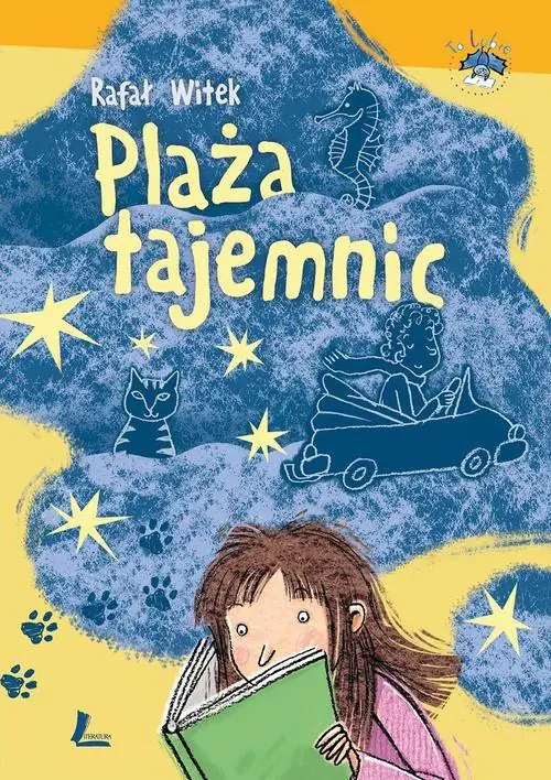 Książka - Plaża tajemnic