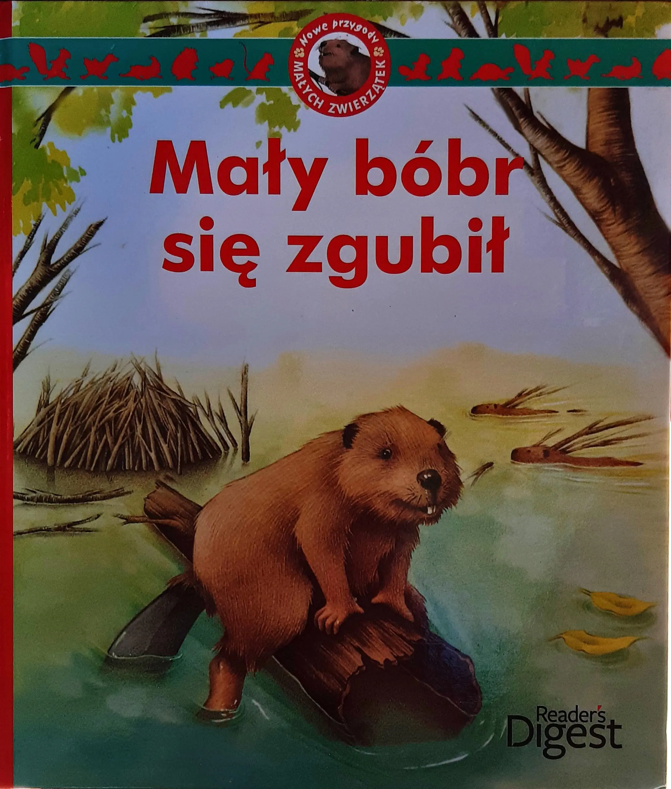 Książka - Mały bóbr się zgubił