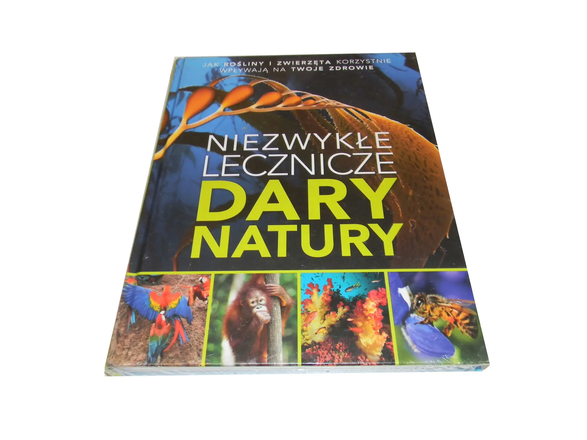 Książka - Niezwykłe lecznicze dary natury