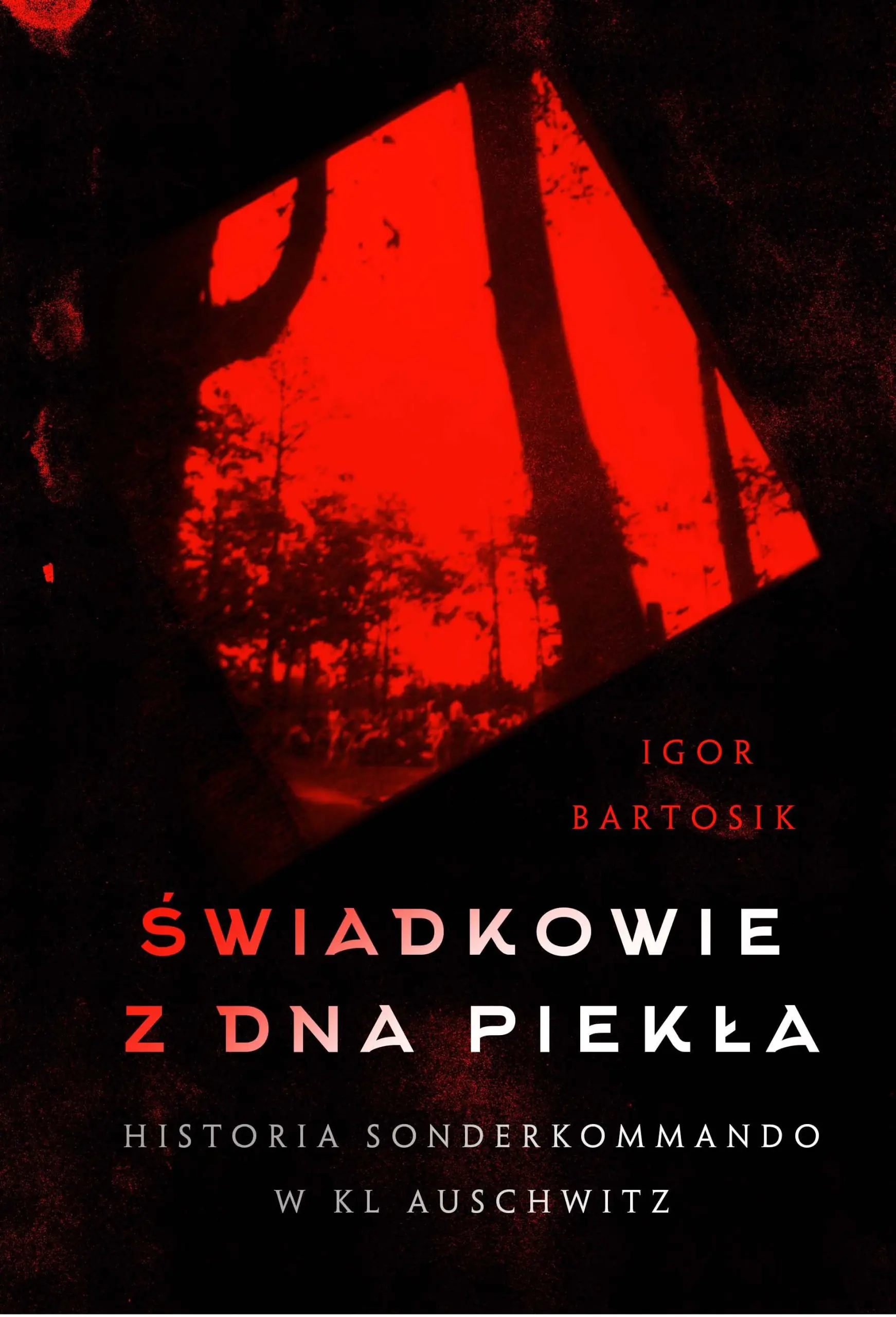 Książka - Świadkowie z dna piekła