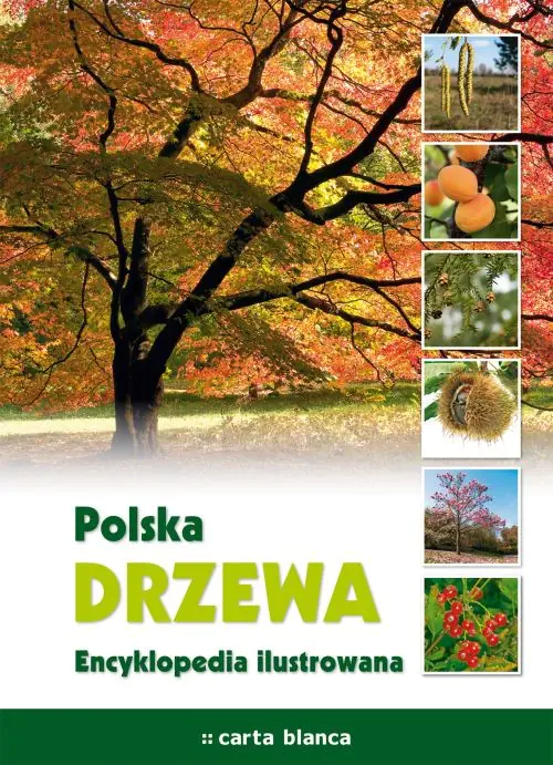 Książka - Polska Drzewa Encyklopedia ilustrowana