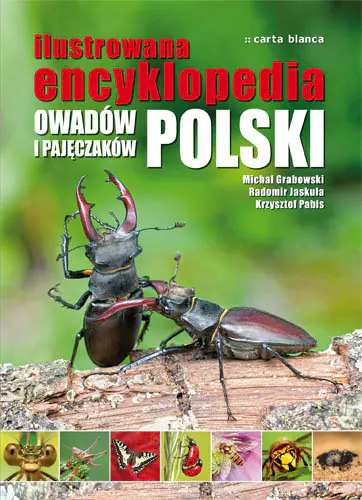 Książka - Ilustrowana encyklopedia owadów i pajęczaków