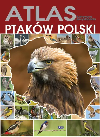 Książka - Atlas ptaków Polski TW