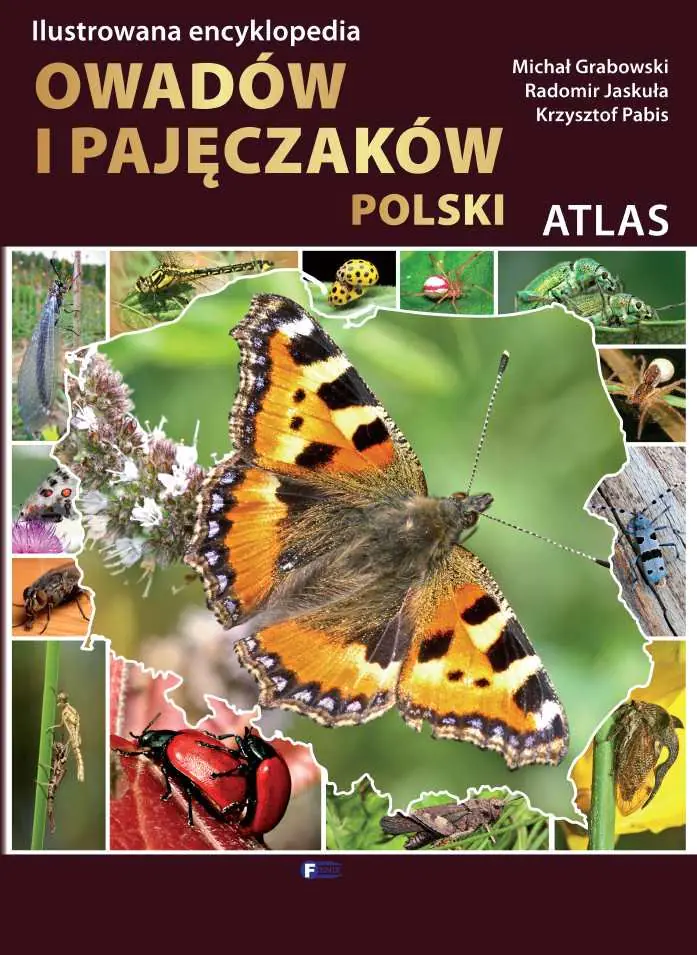 Książka - Ilustrowana encyklopedia owadów i pajęczaków Polski