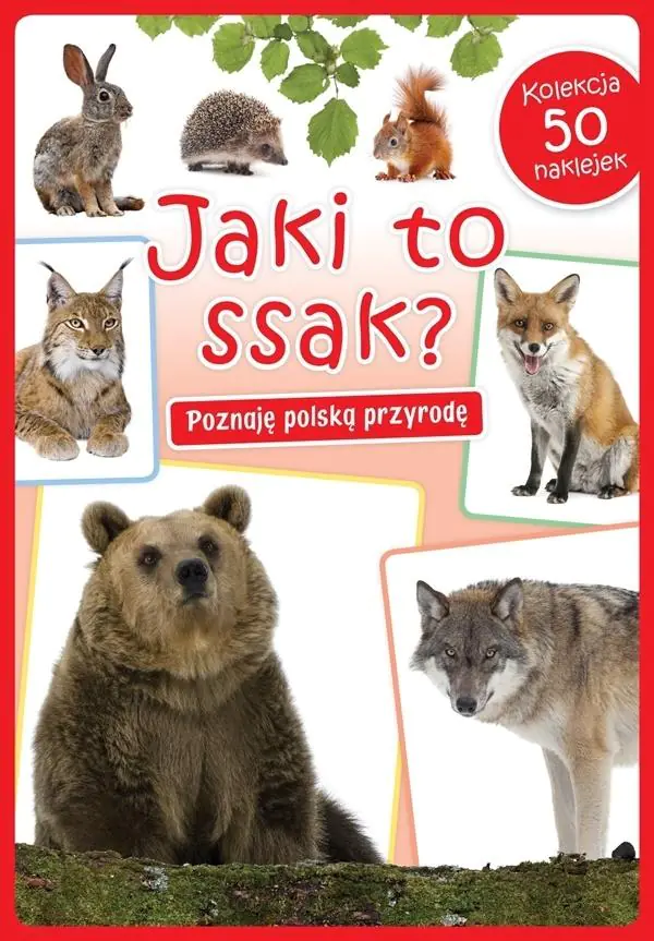 Książka - Jaki to ssak? Poznaję polską przyrodę