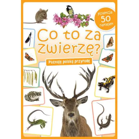 Książka - Co to za zwierzę? Poznaję polską przyrodę