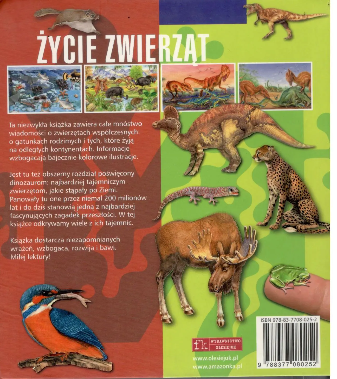 Książka - Życie zwierząt. Współczesność i prehistoria