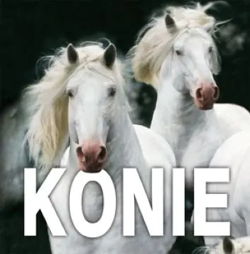 Książka - Konie