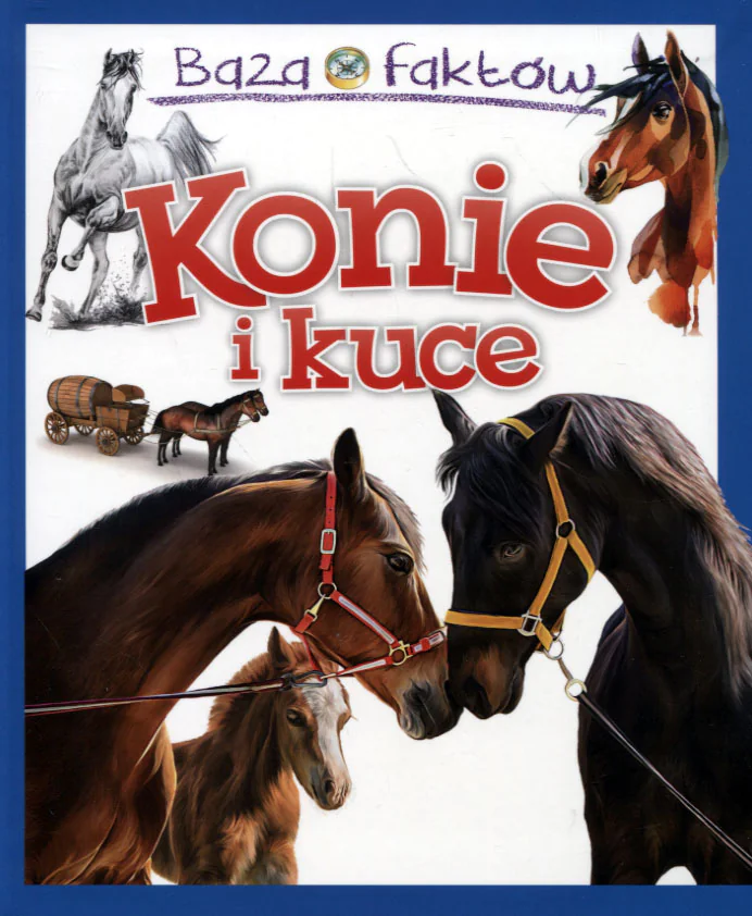 Książka - Baza faktów. Konie i kuce