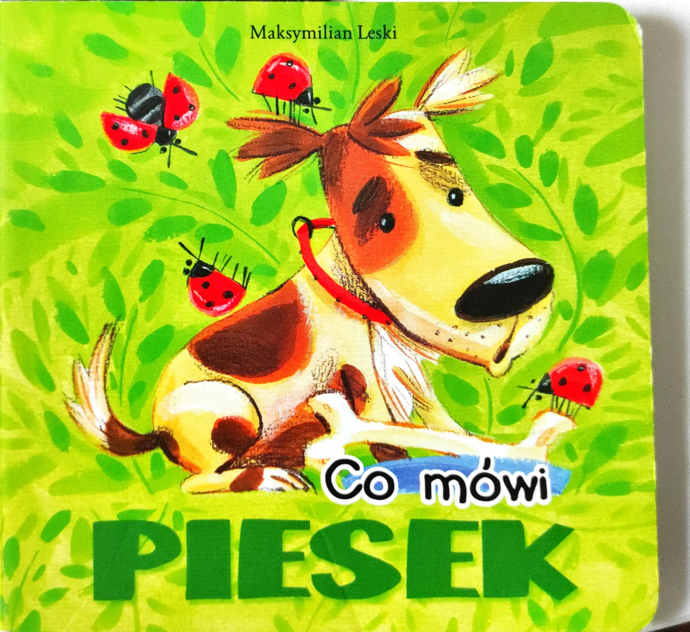 Książka - Co mówi piesek