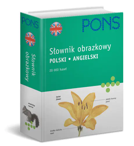 Książka - Słownik obrazkowy angielski