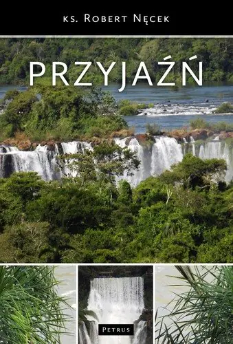 Książka - Przyjaźń w.2013
