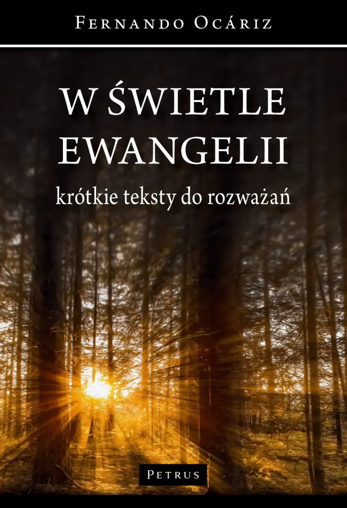 Książka - W świetle ewangelii. Krótkie teksty do rozważań