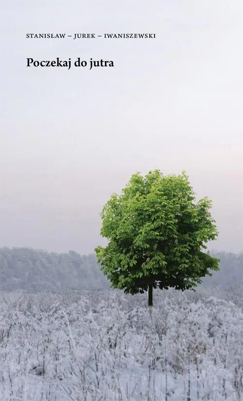Książka - Poczekaj do jutra