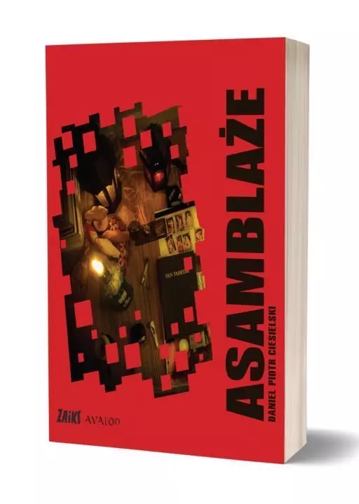 Książka - Asamblaże