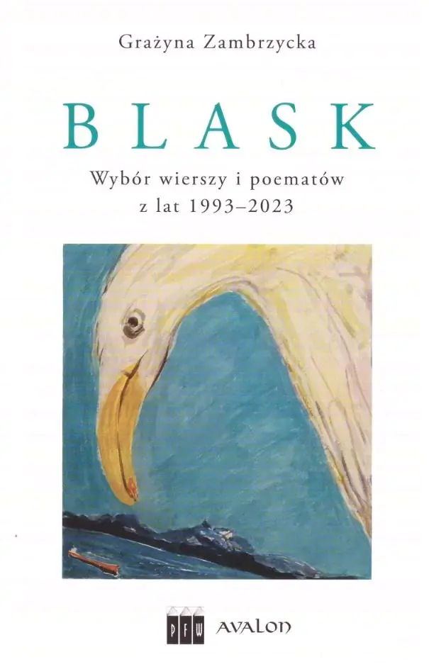 Książka - Blask