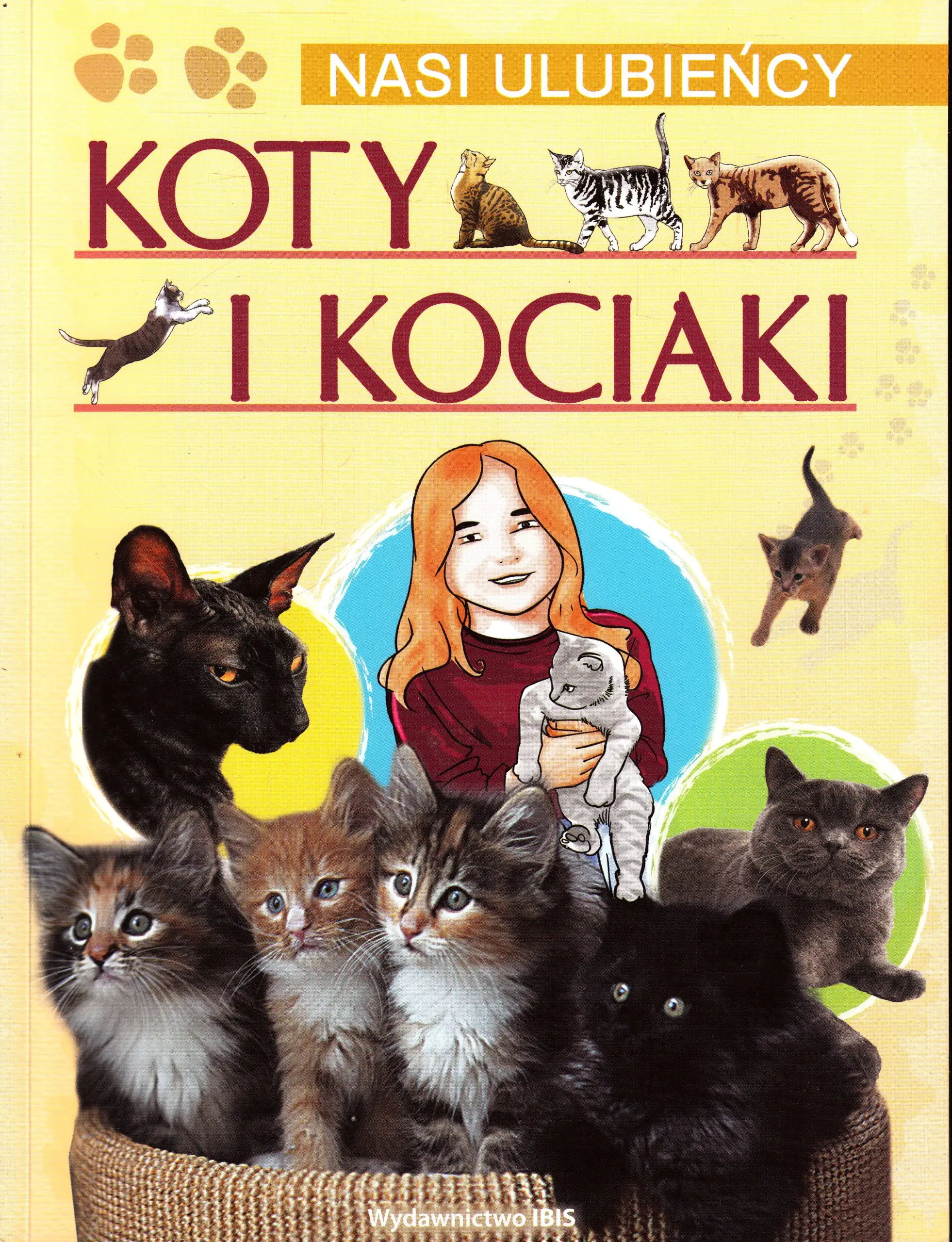 Książka - Koty i kociaki Nasi ulubieńcy