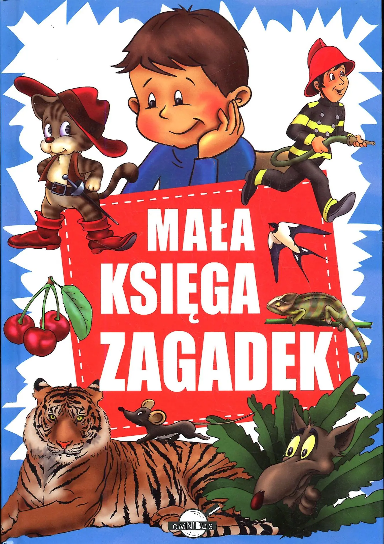 Książka - Mała księga zagadek (OT)