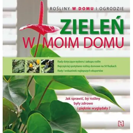 Zieleń w moim domu