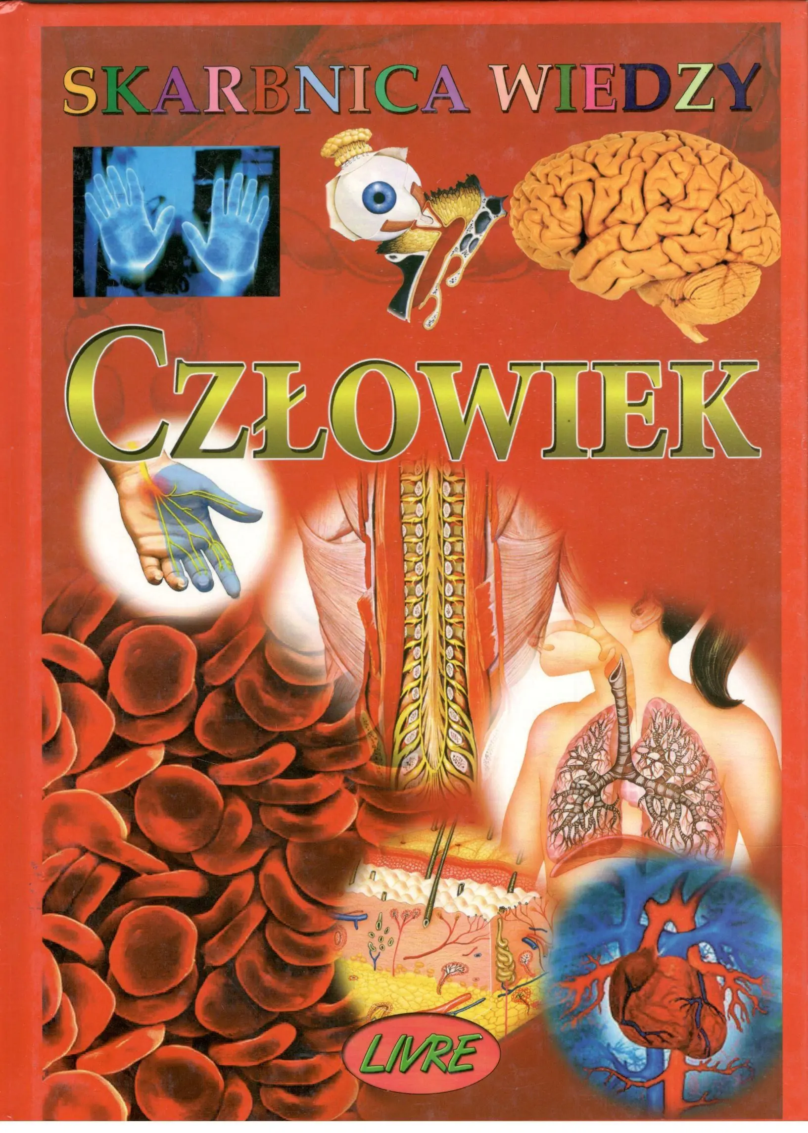 Książka - Człowiek