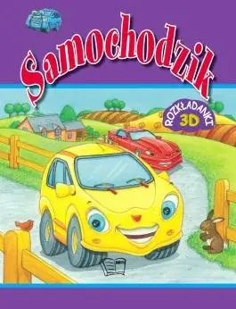 Książka - Samochodzik