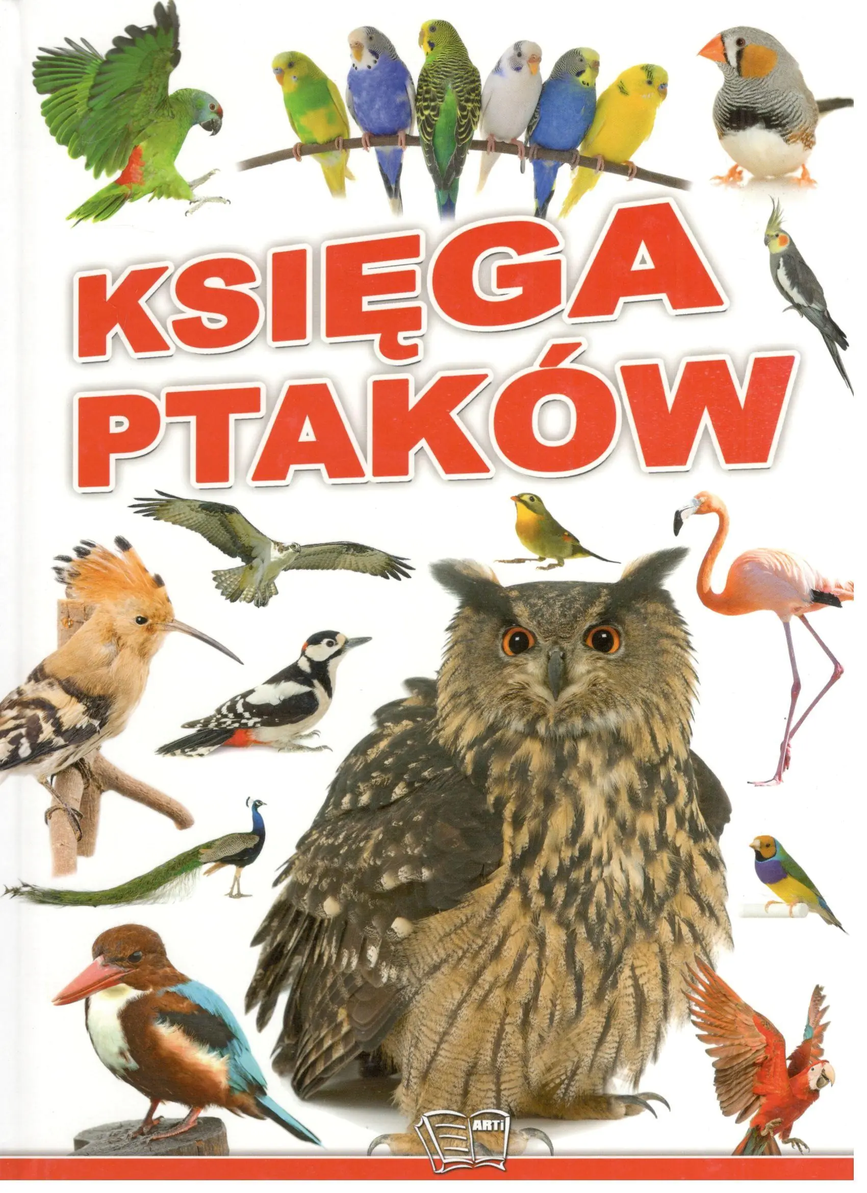 Książka - Księga ptaków