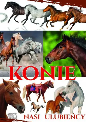 Książka - Konie. Nasi ulubieńcy