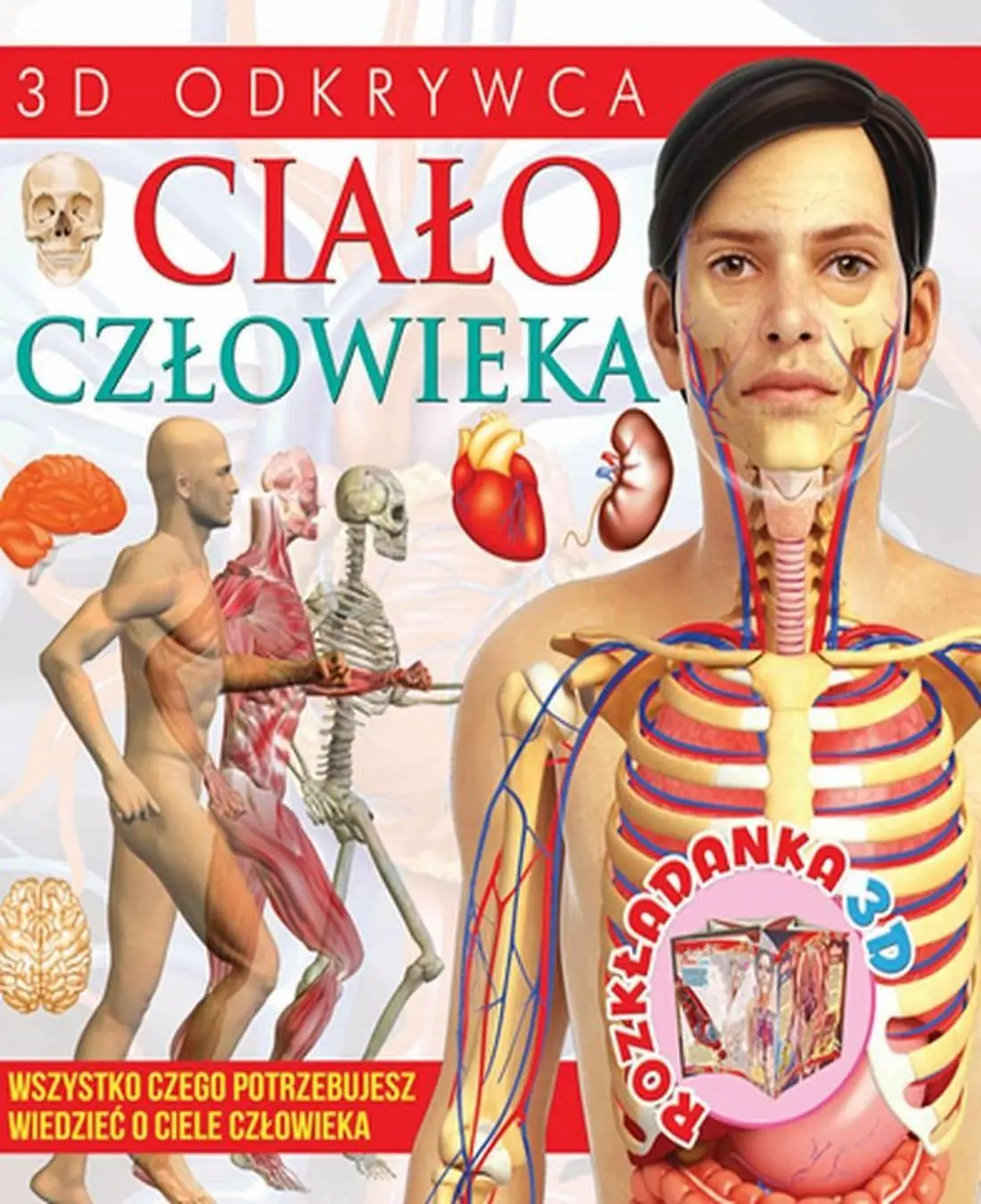 Książka - Ciało człowieka. Wszystko czego potrzebujesz wiedzieć o ciele człowieka